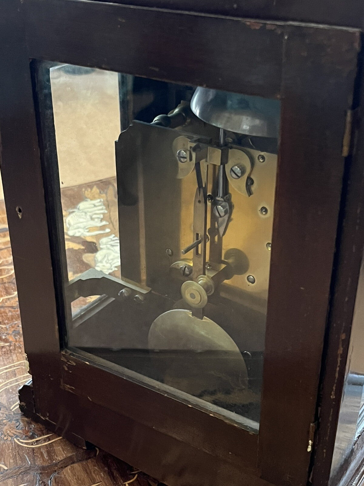 47653513