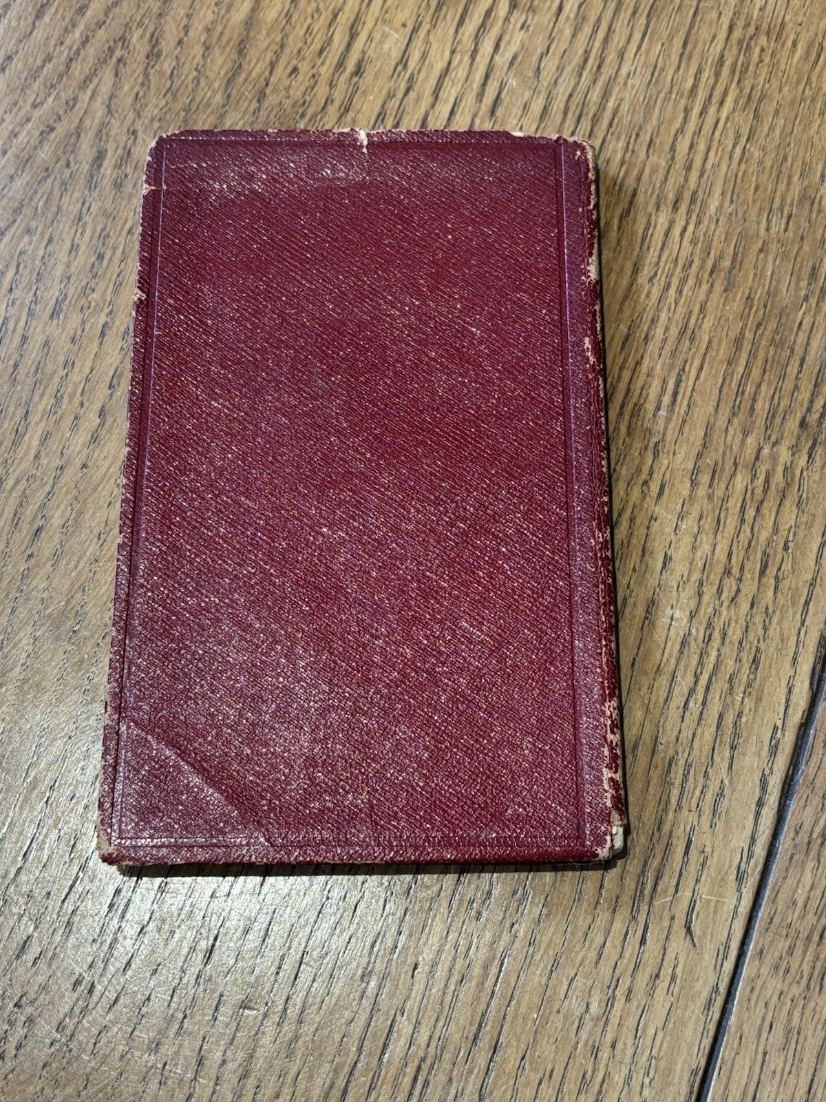 45666480