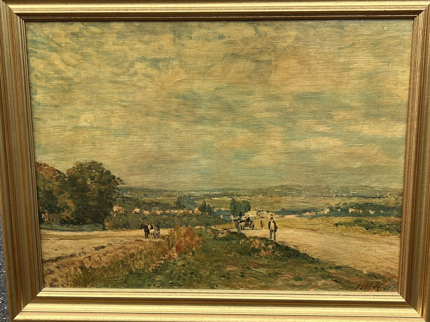 47650095