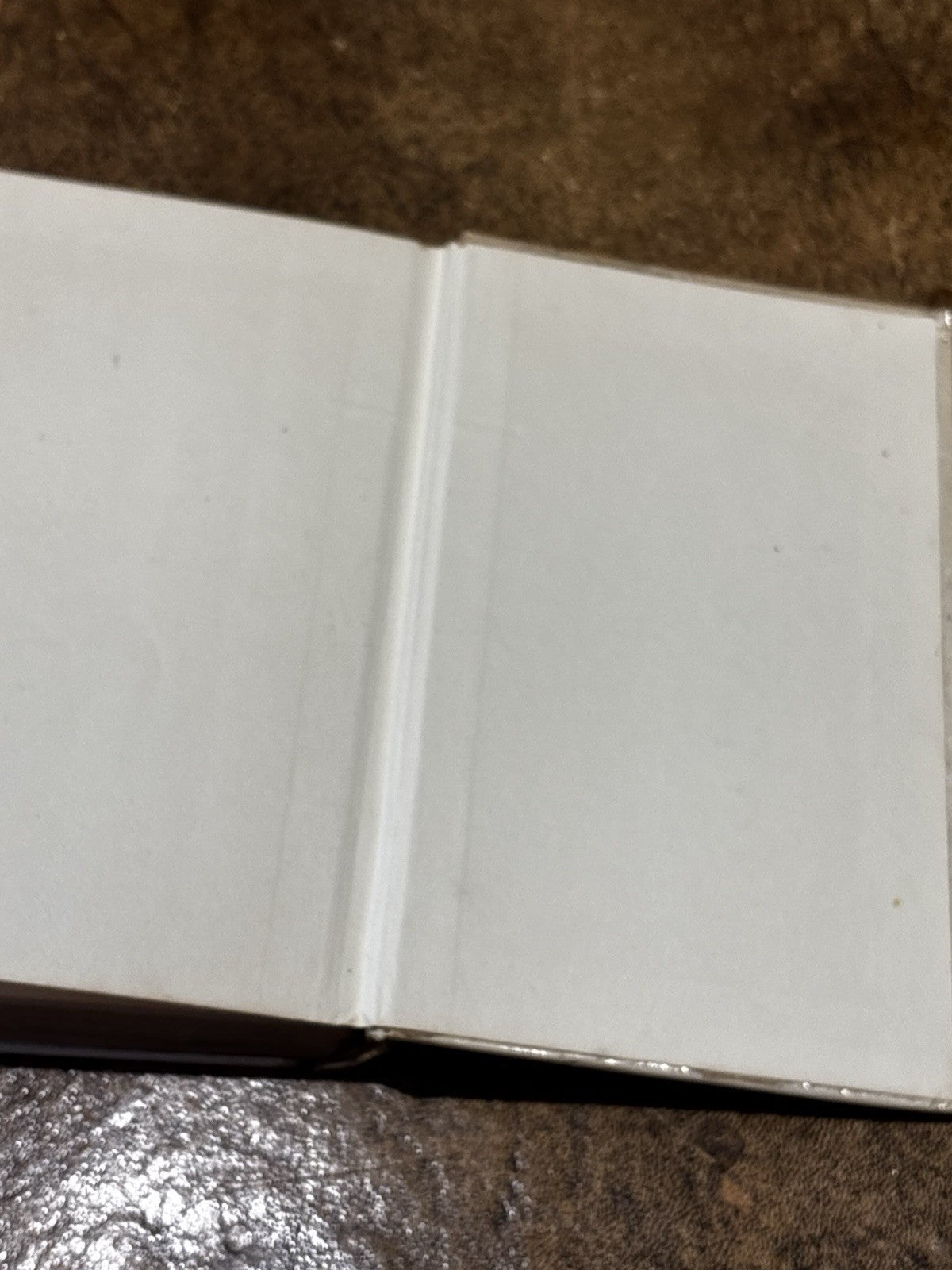 47691588
