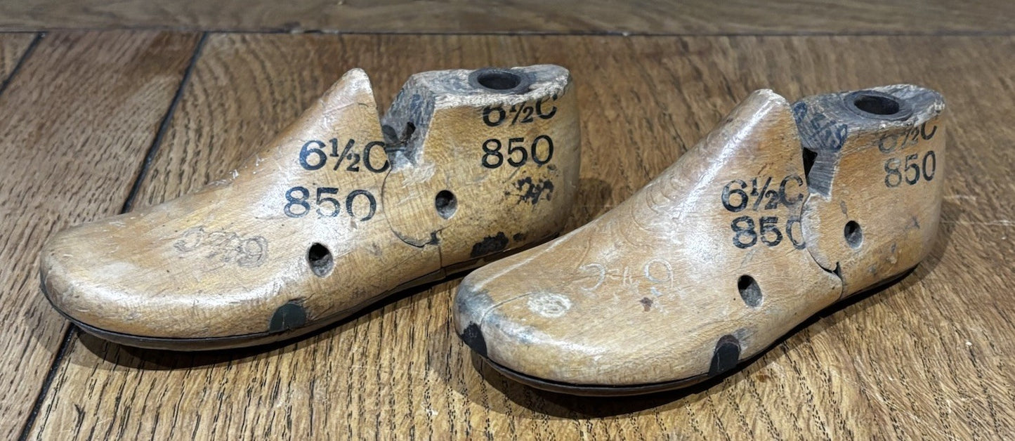 47019653