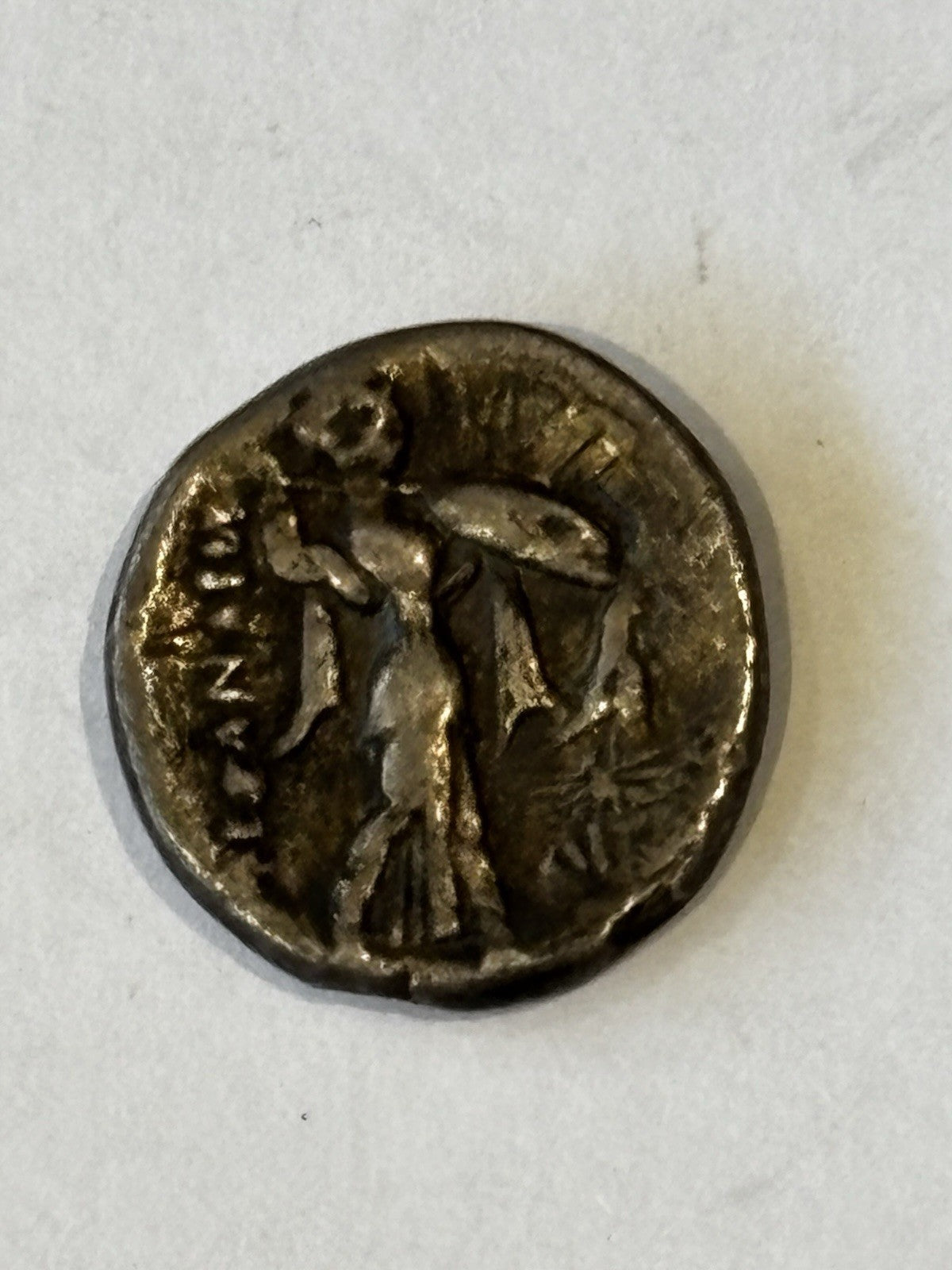 47658031