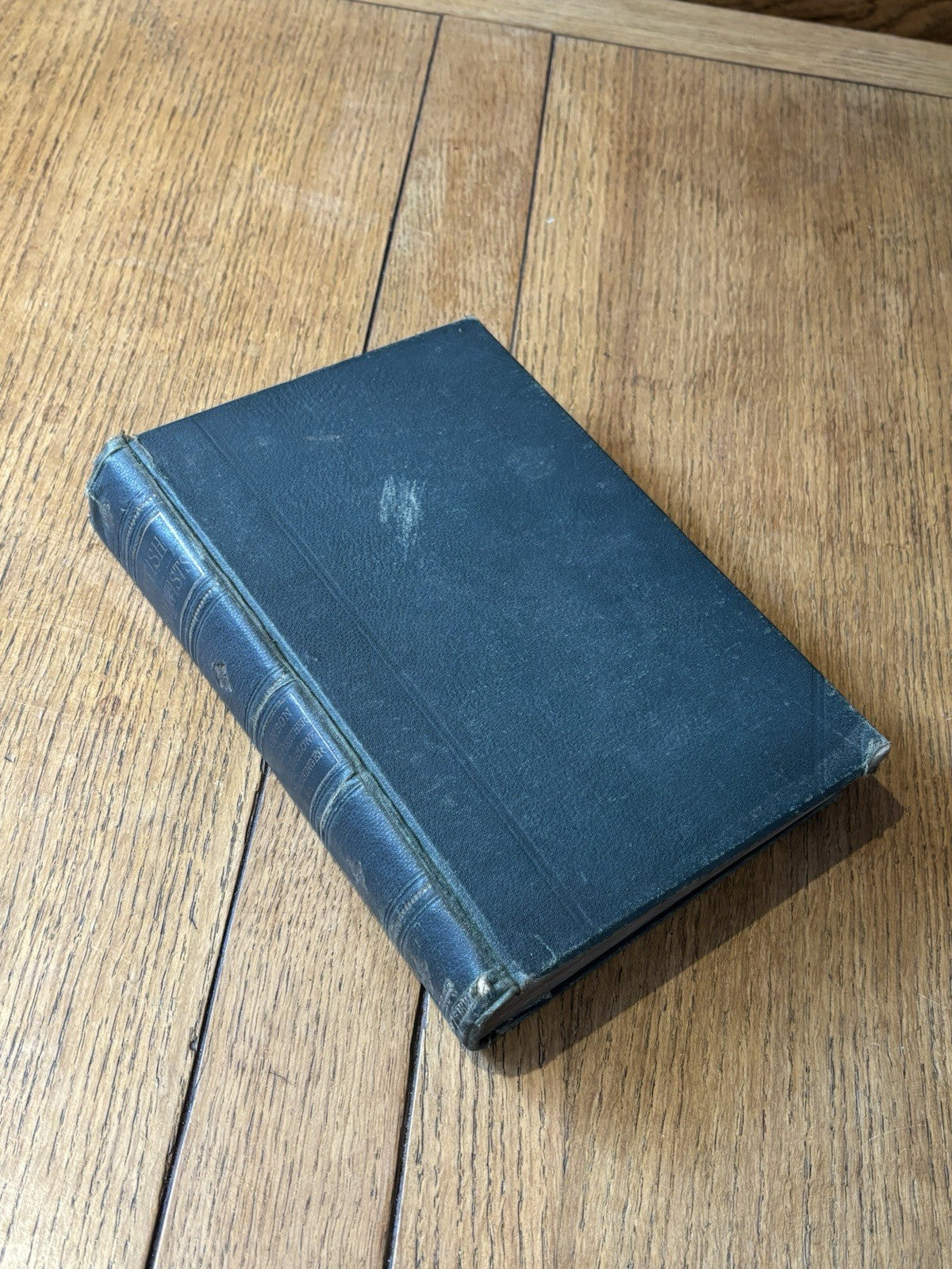 44541095