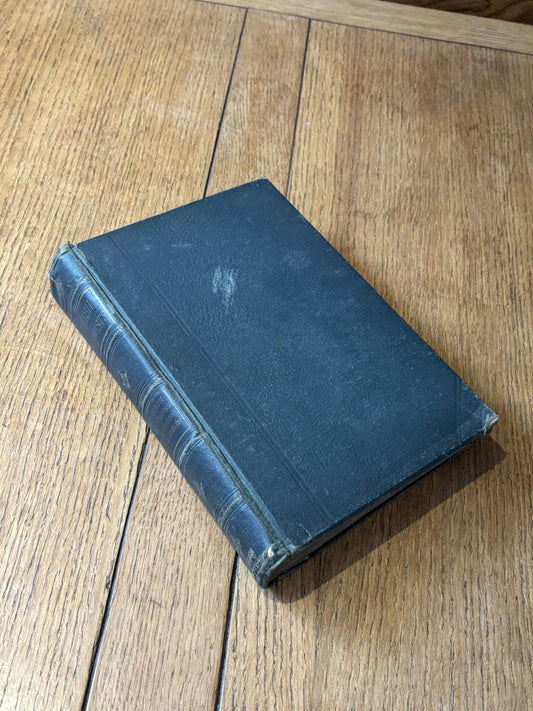 44541095
