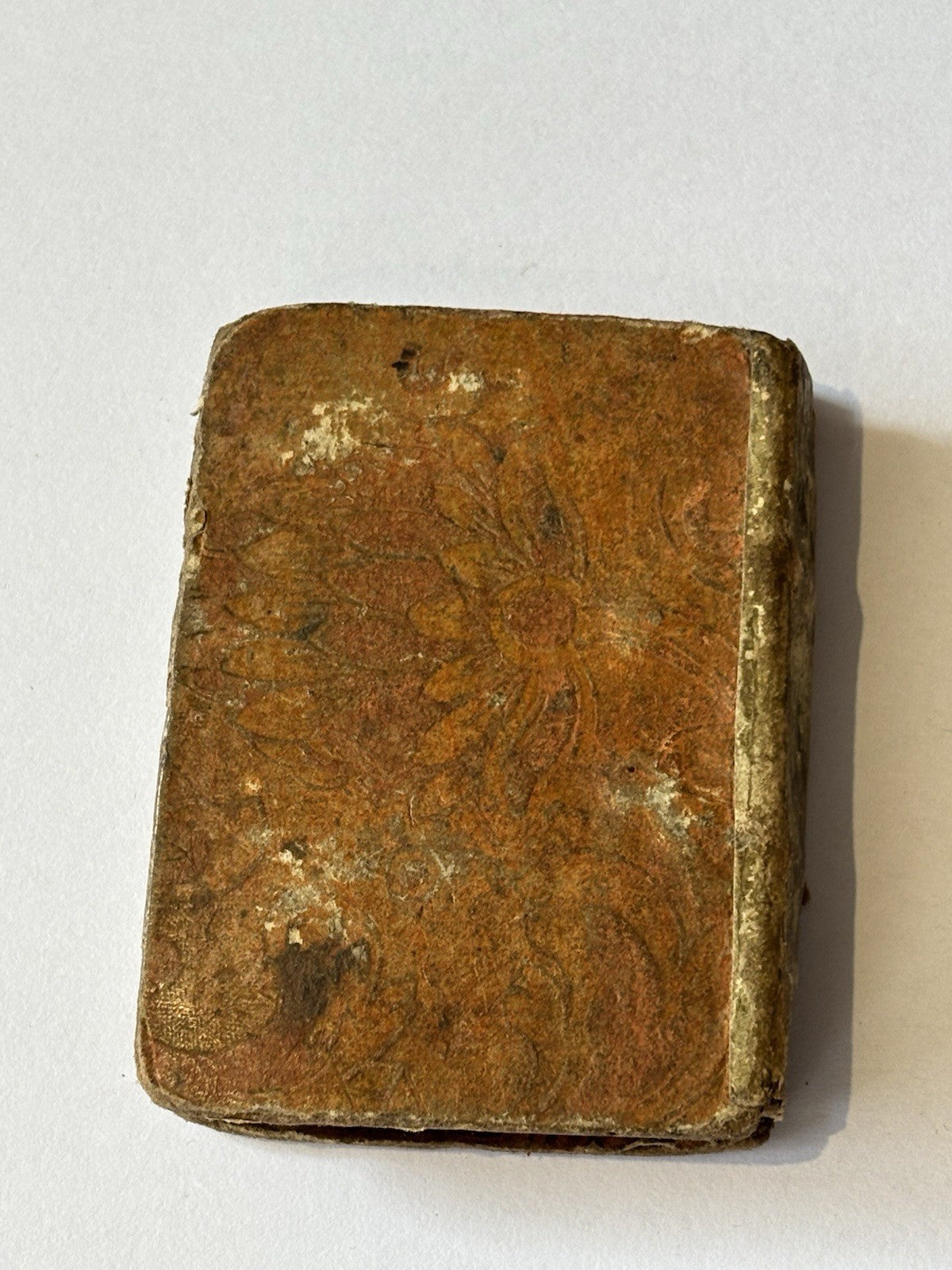 45715973