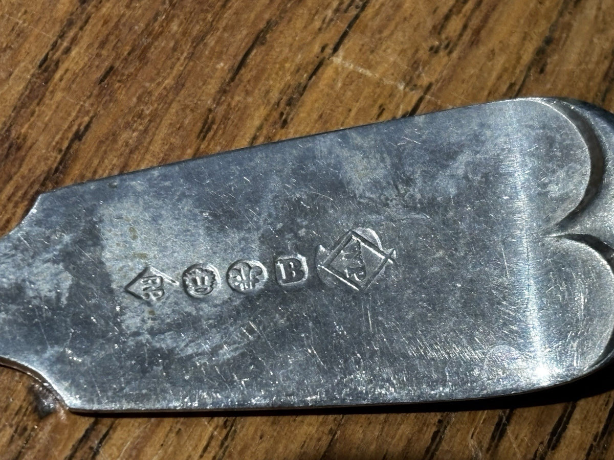 47690417