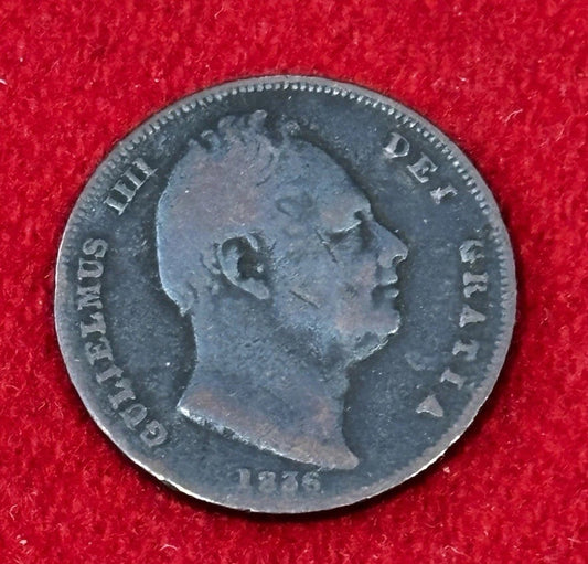 47262649