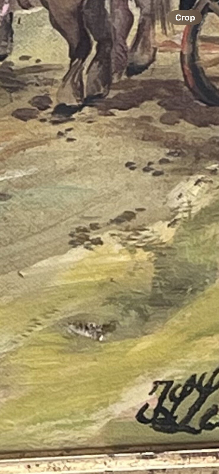 47653411
