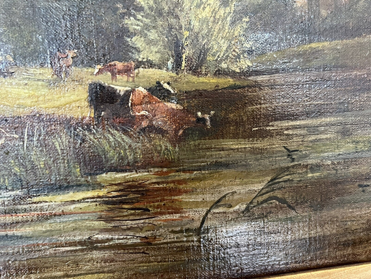 47653230