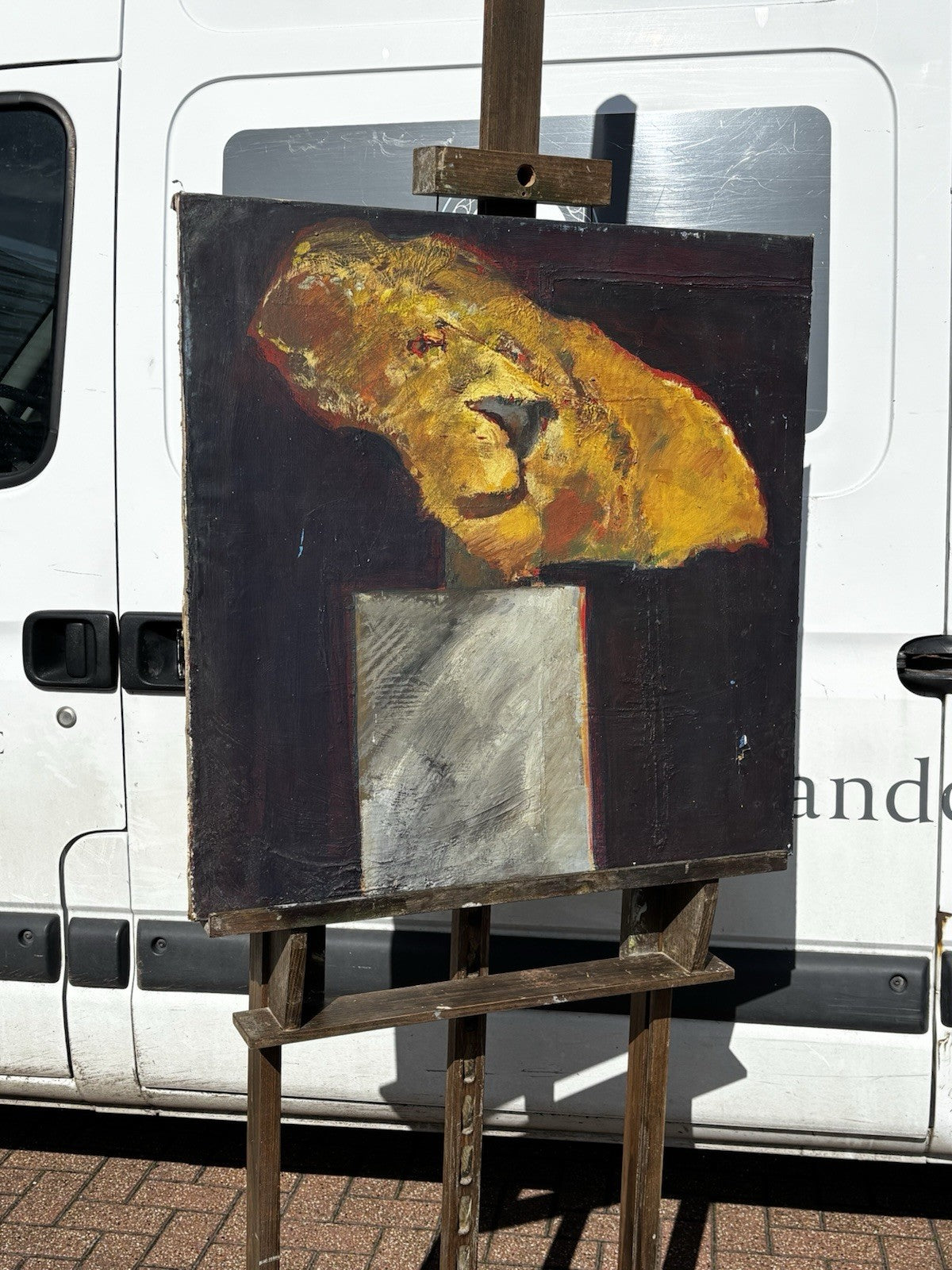 47690785