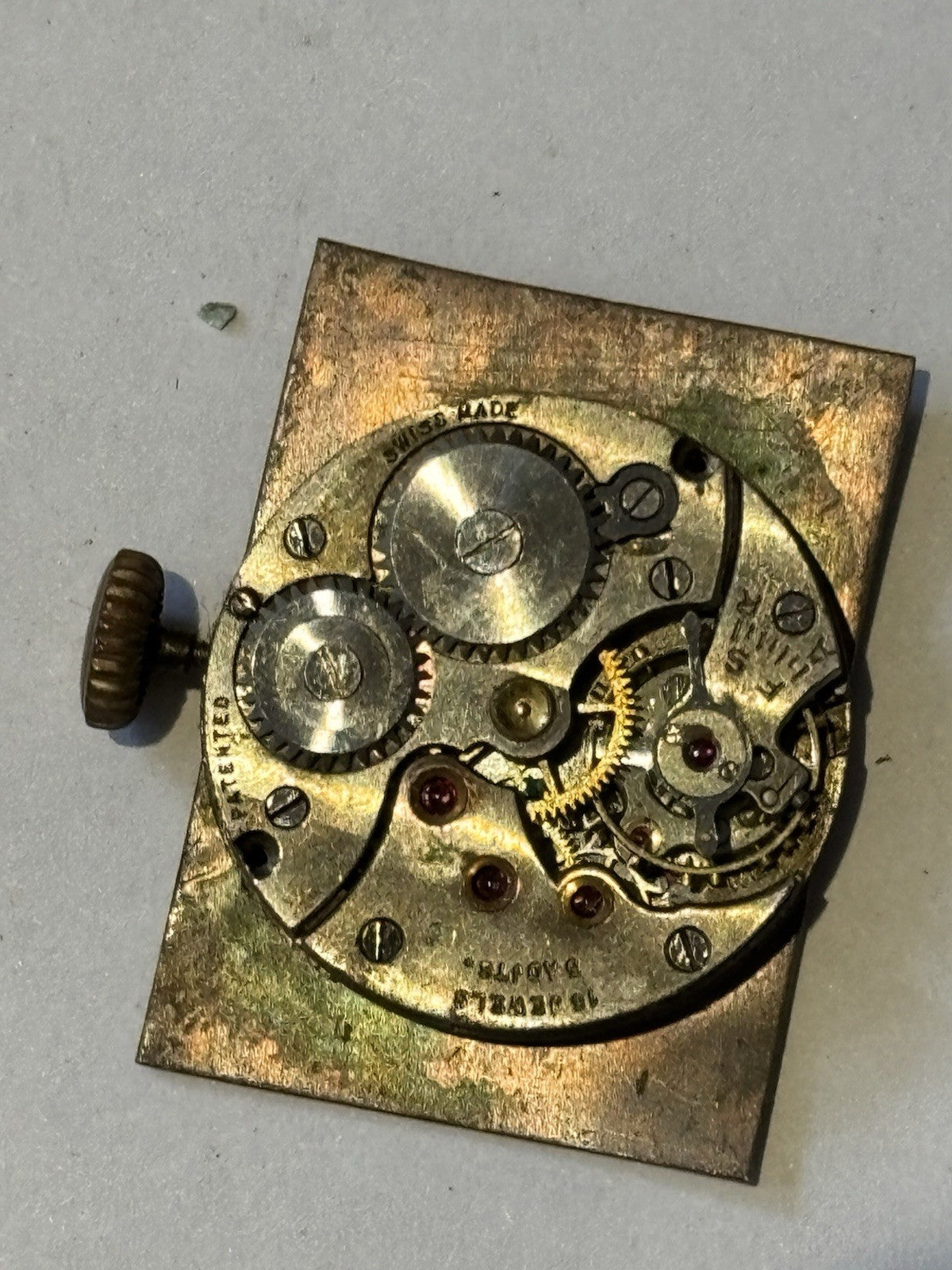 45726061