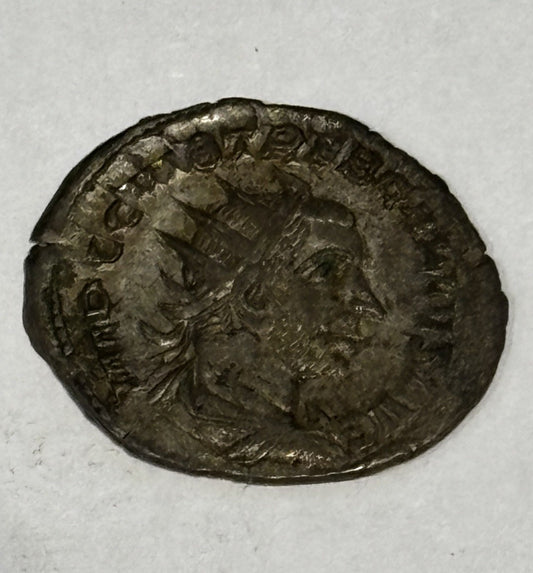 47690461