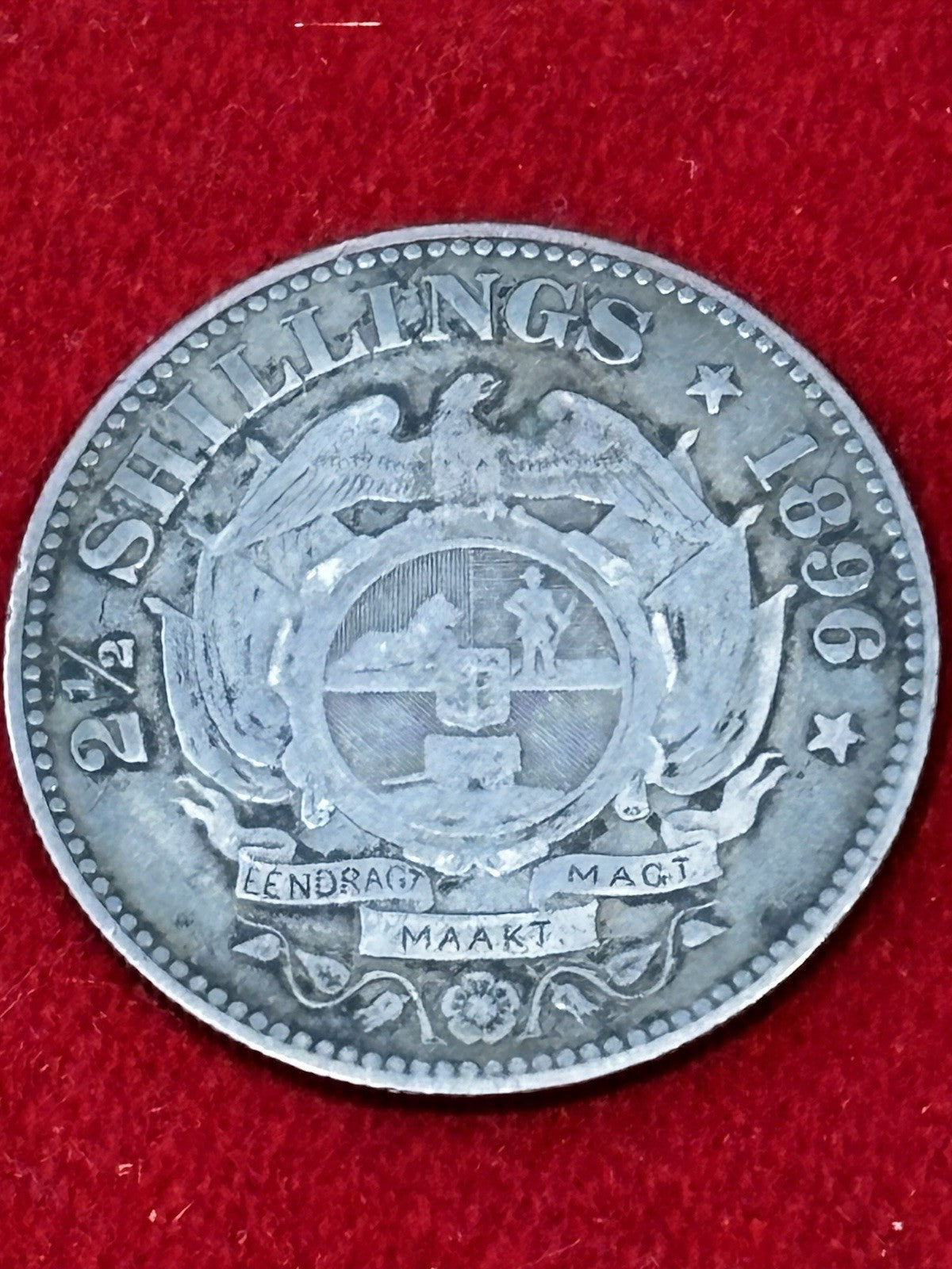 47691036