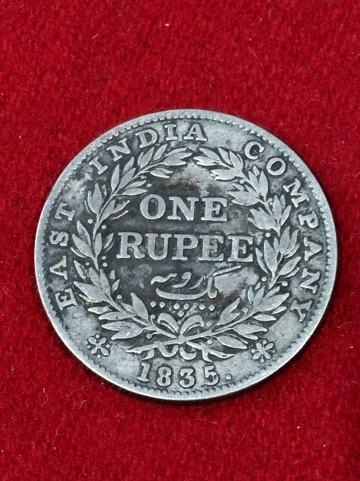 47691037