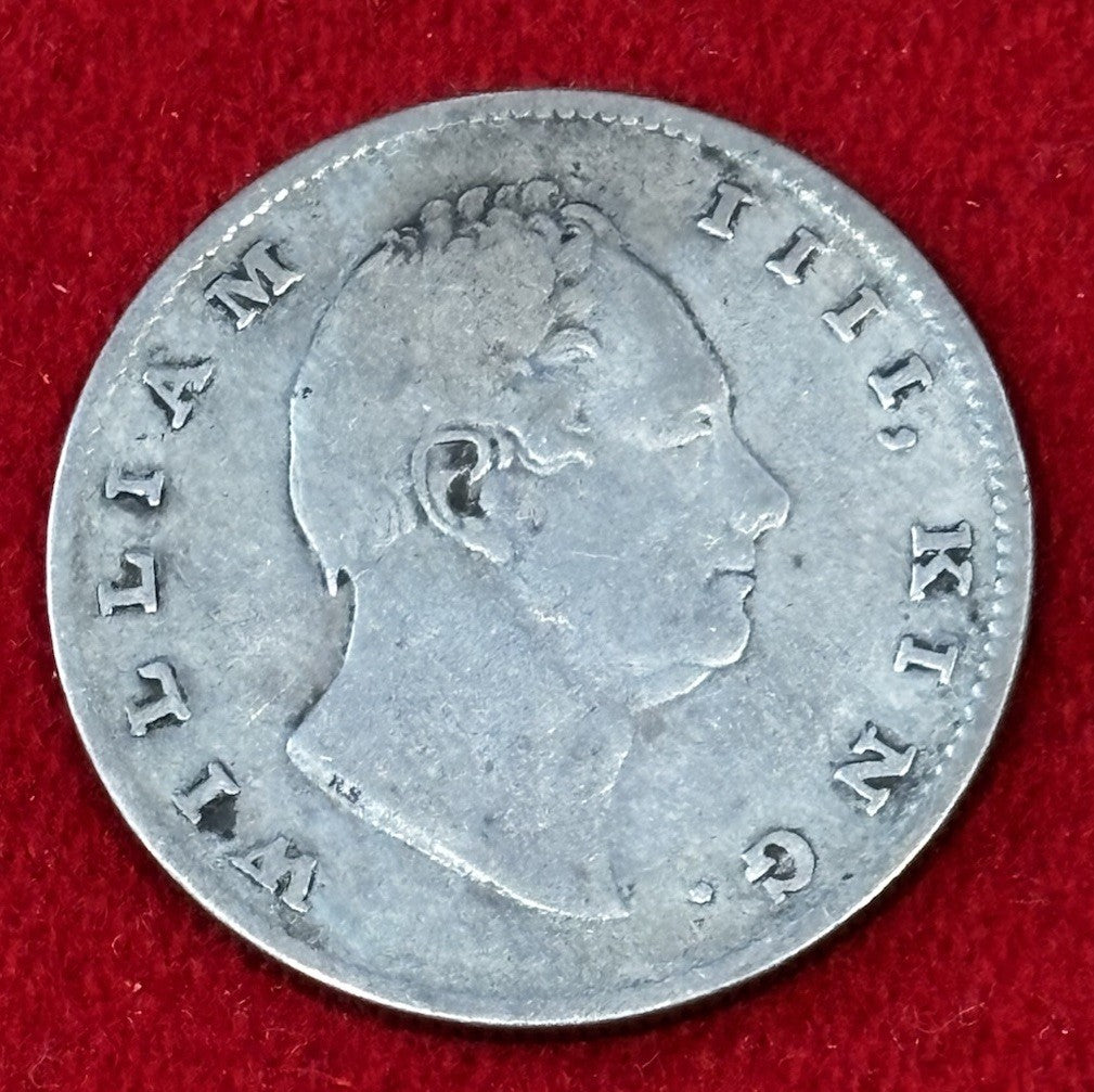47691037