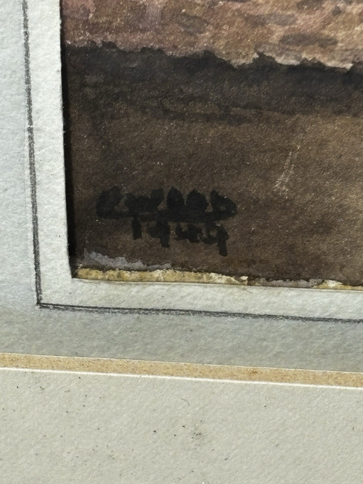 47690805