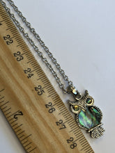 Vintage Silver Tone Paua Shell Abalone Owl Necklace Earring Set