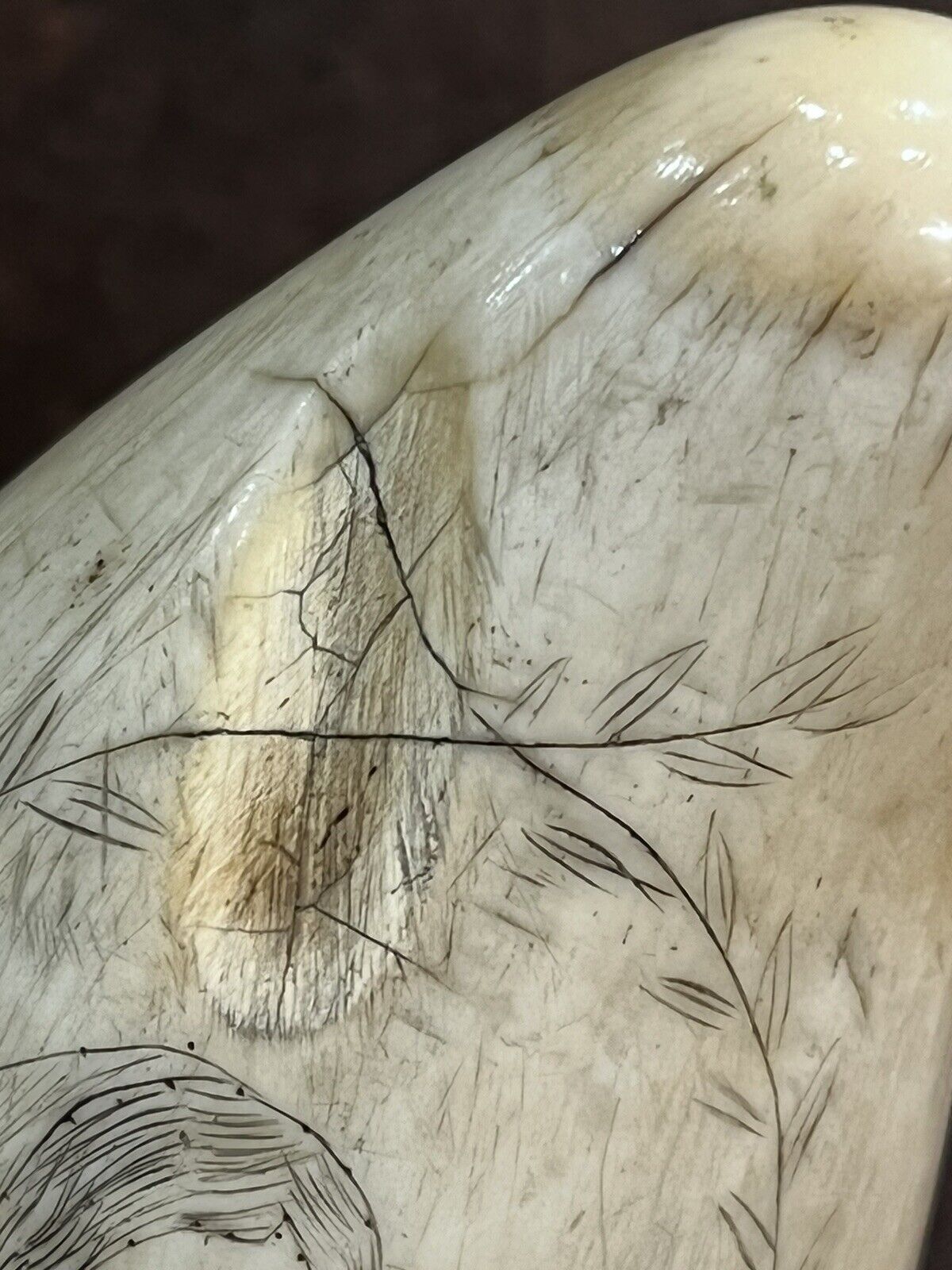 Antique Scrimshaw