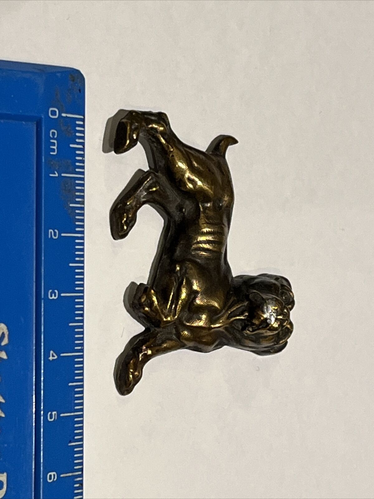 High Quality Plaque Of A Dog.