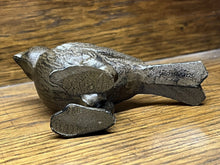 Small Bronzed Bird