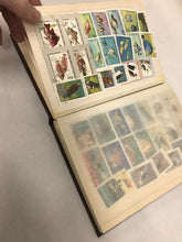 Vietnam Stamp Collection