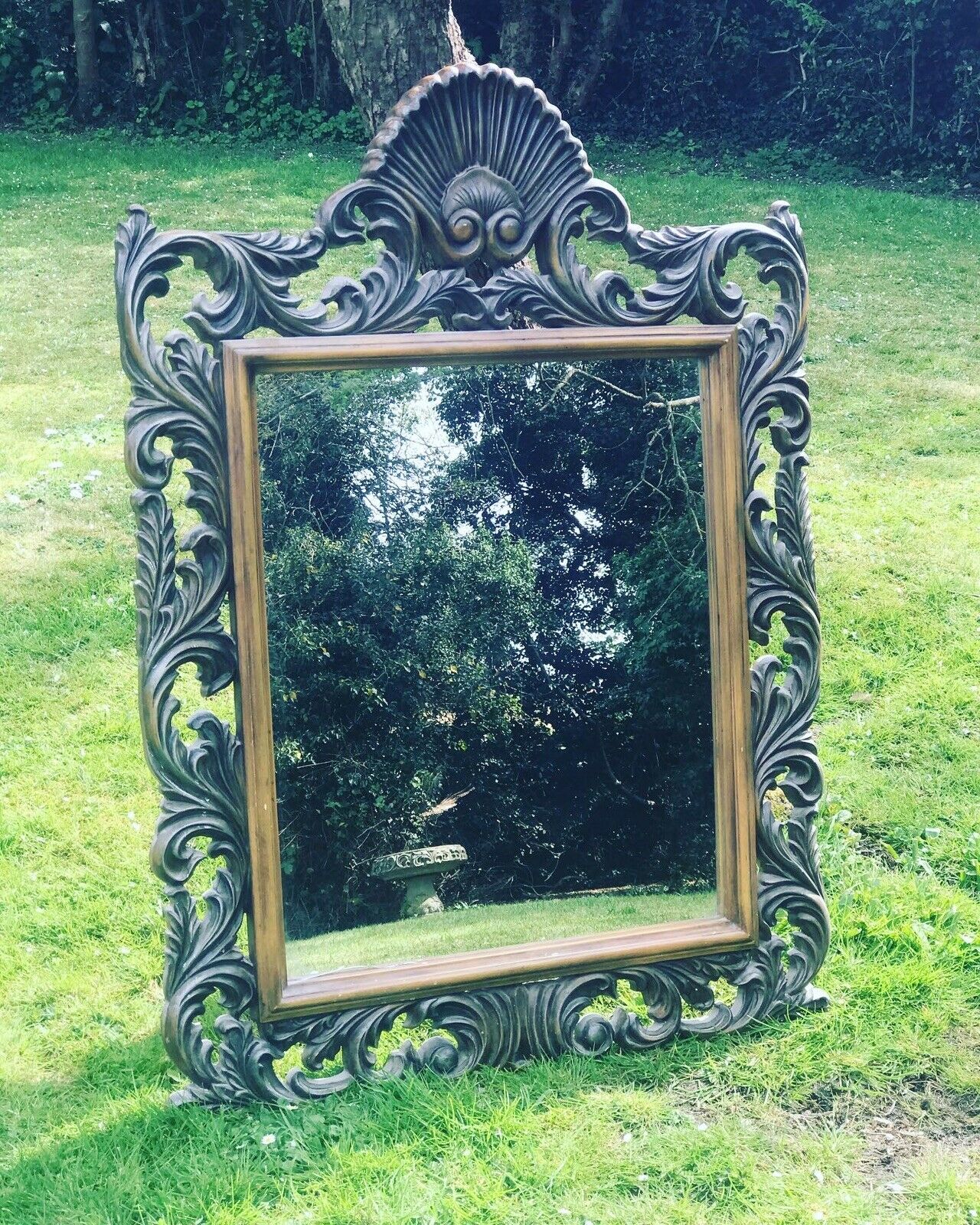 Mirror In Ornate Frame