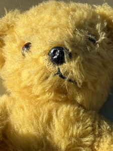 Old Teddy Bear.