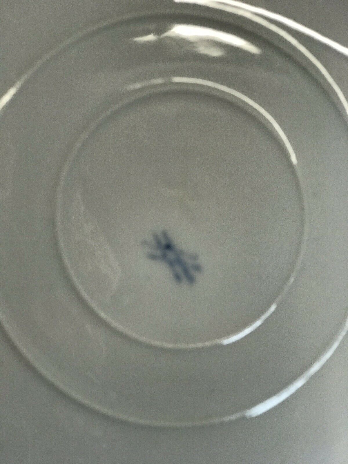German Porcelain Pair Of Cabinet Plates