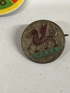 Holiday Club Badges