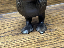 Small Bronzed Bird