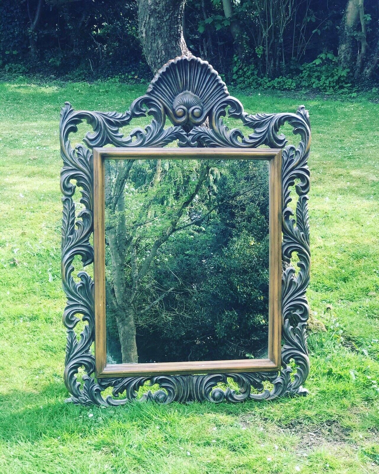 Mirror In Ornate Frame