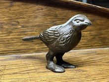Small Bronzed Bird