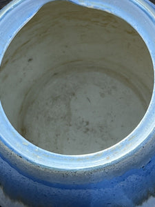 Shelley Drip Ware Tea Pot