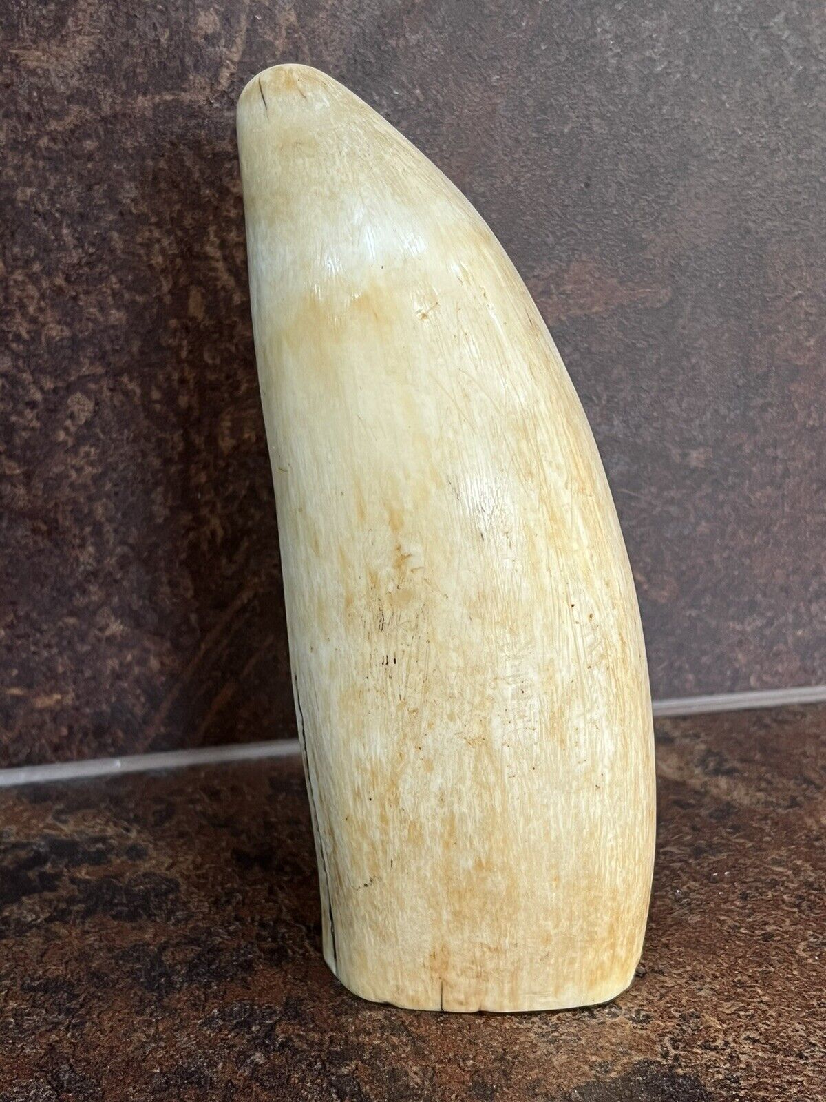 Antique Scrimshaw
