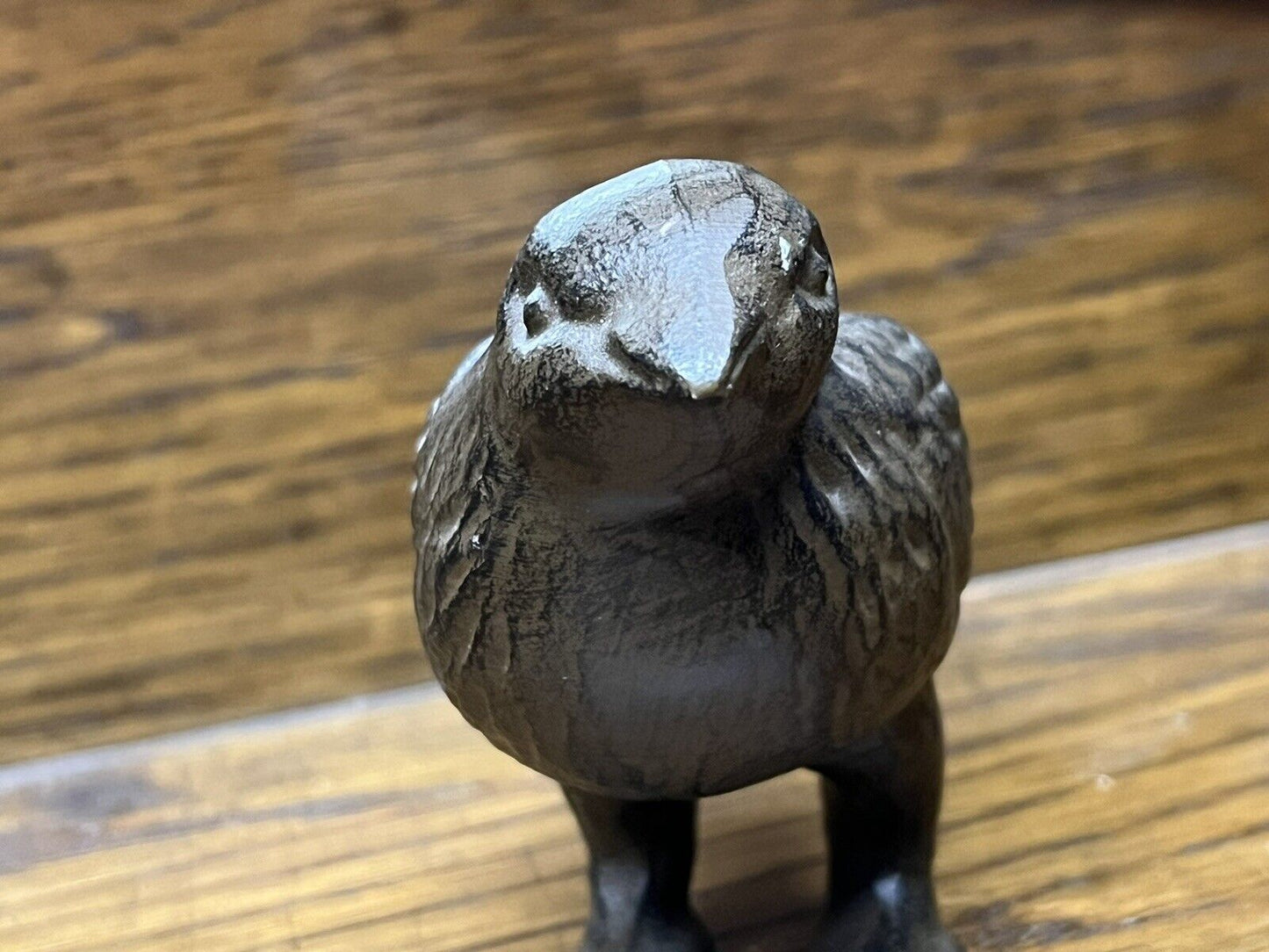 Small Bronzed Bird