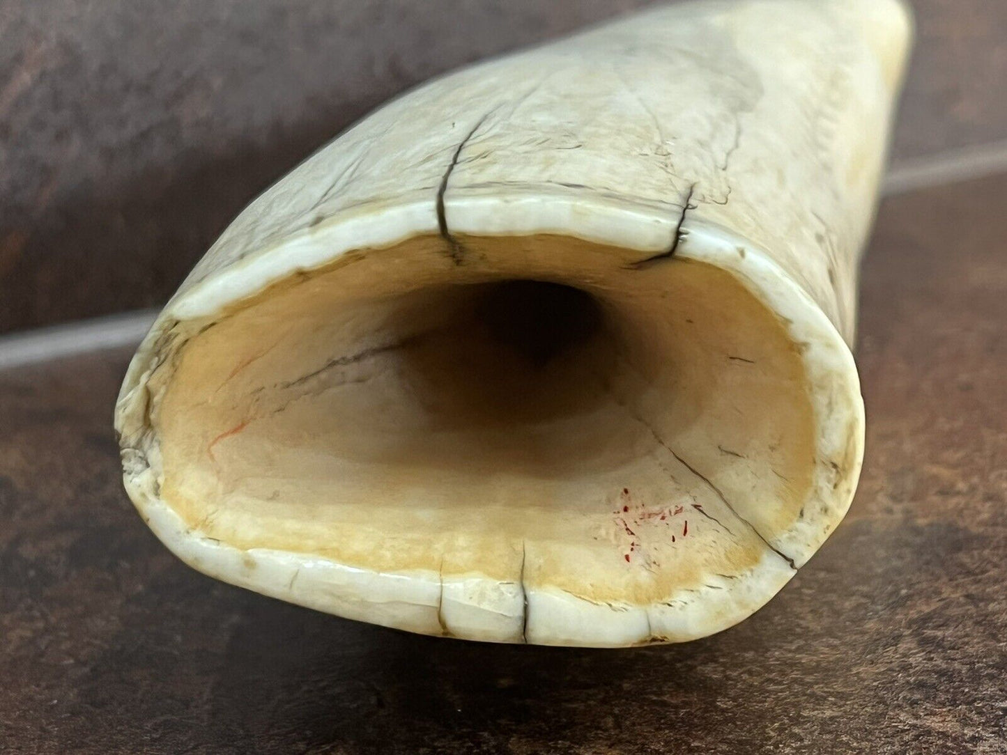 Antique Scrimshaw