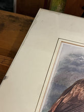 6 Antique Framed Coloured Prints Of Birds