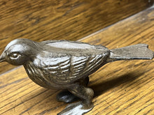 Small Bronzed Bird