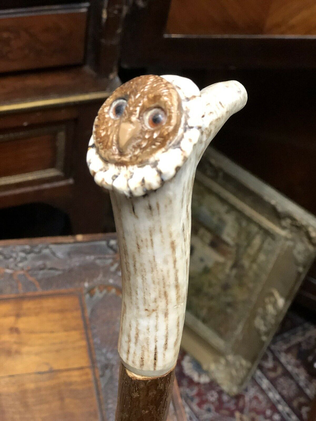 Owl Head Walking Stick
