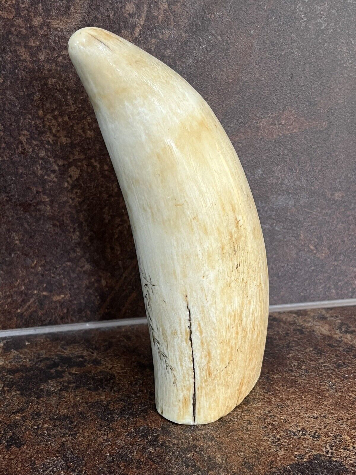 Antique Scrimshaw