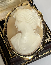 Vintage Shell Cameo Gold Plated Brooch